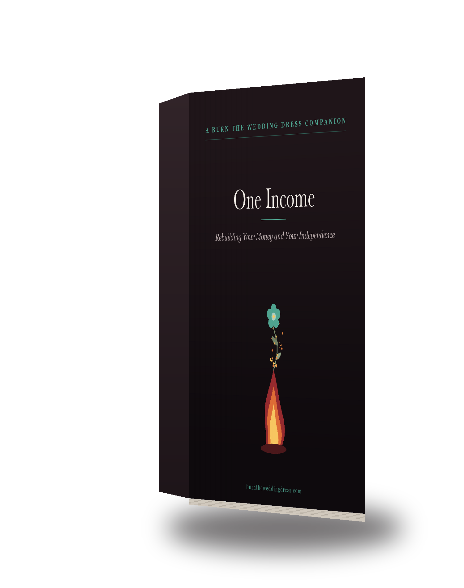 One Income